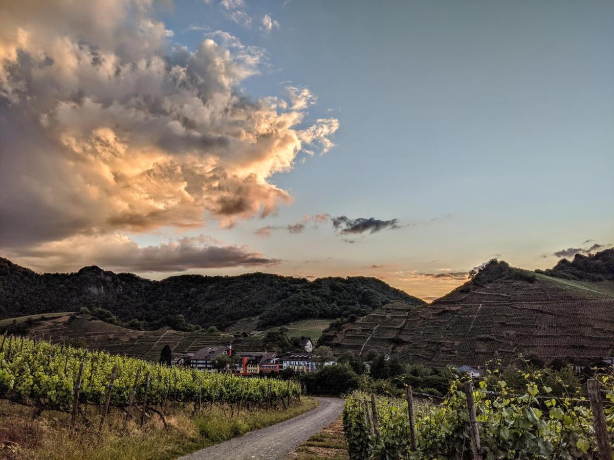 Am Bungert Daire Mayschoß Dış mekan fotoğraf