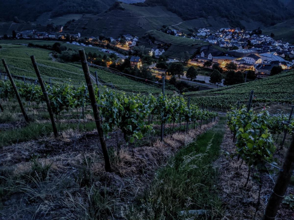 Am Bungert Daire Mayschoß Dış mekan fotoğraf