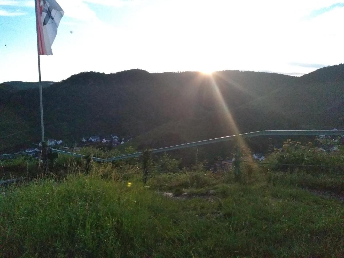 Am Bungert Daire Mayschoß Dış mekan fotoğraf