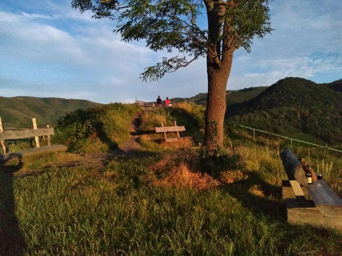 Am Bungert Daire Mayschoß Dış mekan fotoğraf